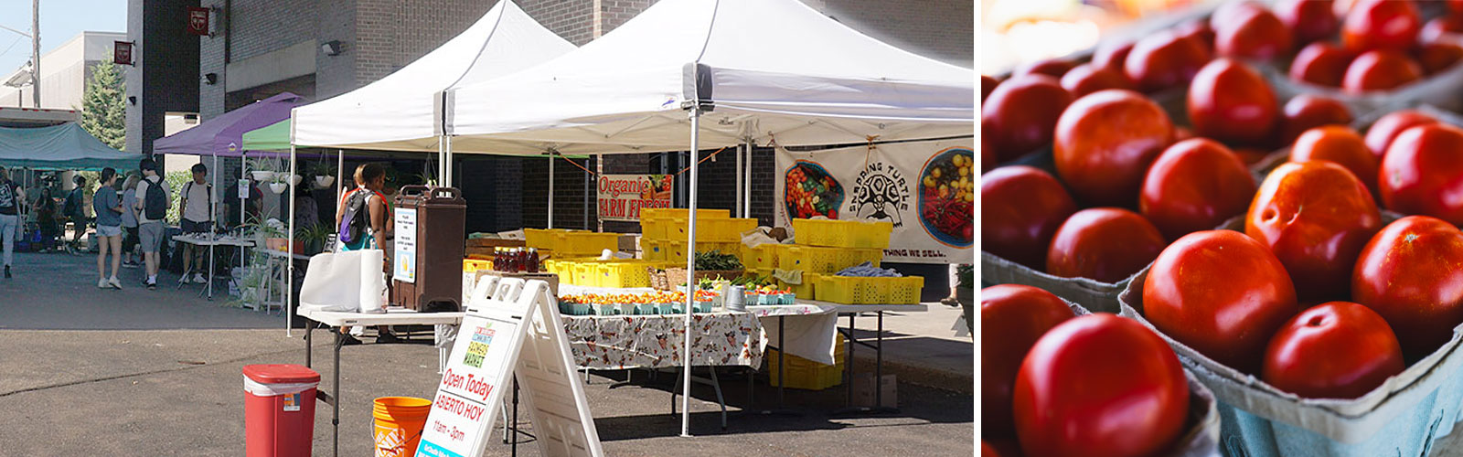 College Avenue Student Center Market and tomatoes