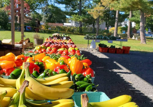 Fruits and Vegetables at the Market.