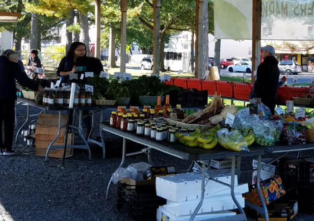Panorama of farm market.